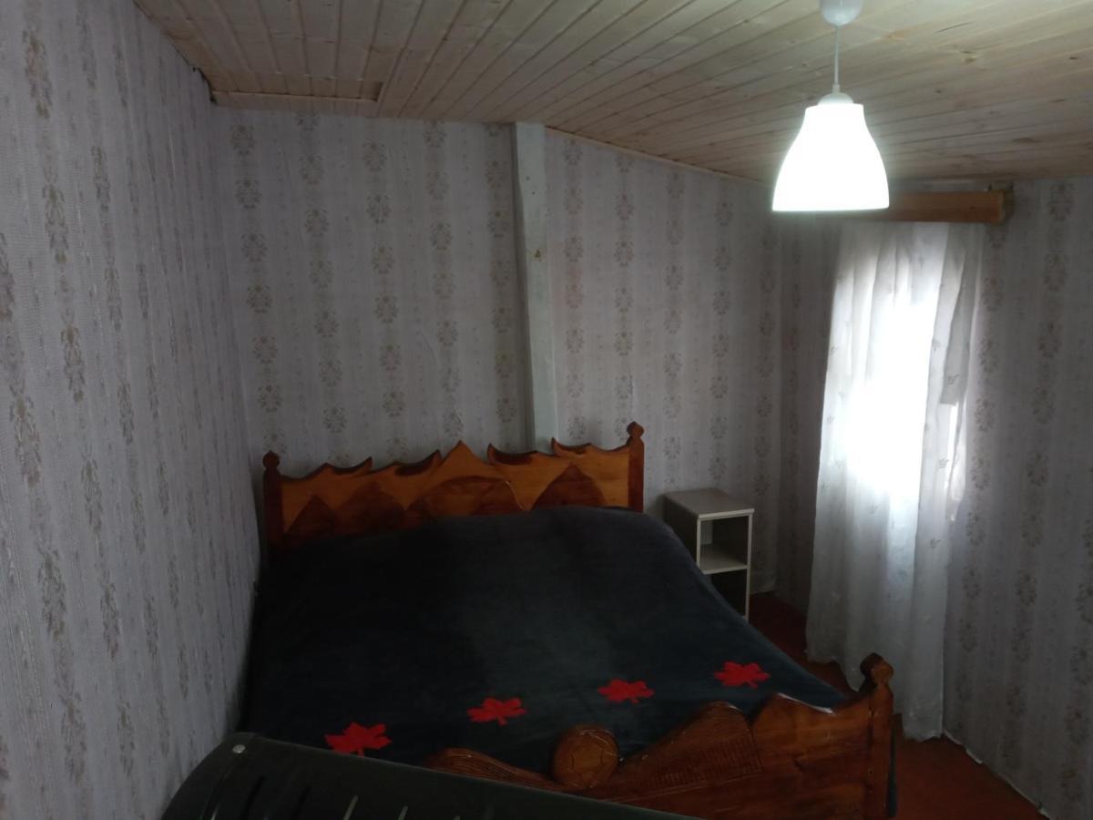 Koba Qaldanis Guest House Adishi Zewnętrze zdjęcie